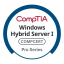 Hybrid Server Pro 1 Core